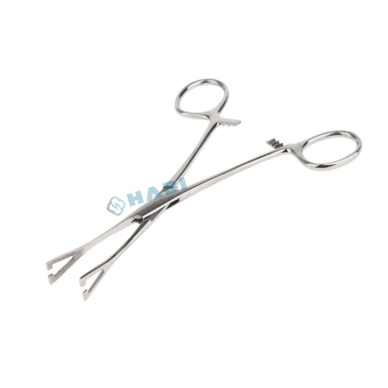 Body Piercing Forceps Manufacturer - OEM 15 CM Slotted Steel