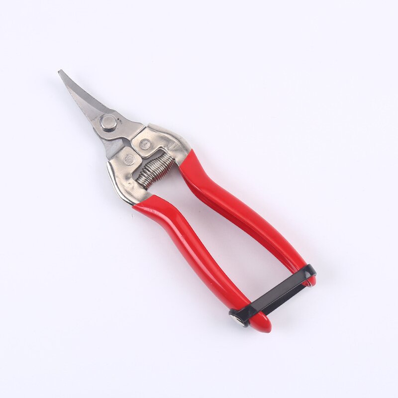 Fruit Shears Manufacturer - OEM Cheaper Thin Fine Branch Gardening
