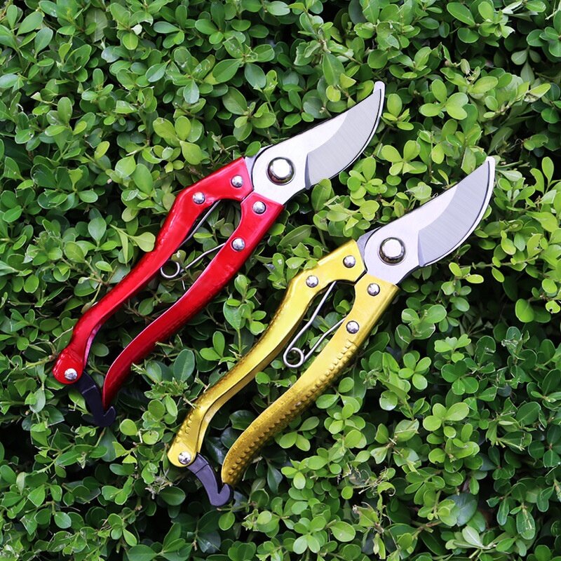 Gardening Scissors Manufacturer - OEM Customizable LOGO Wholesale SK5