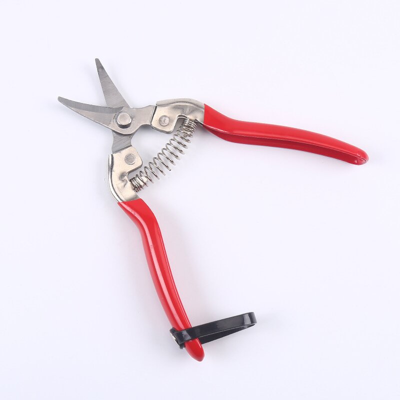 Fruit Shears Manufacturer - OEM Cheaper Thin Fine Branch Gardening