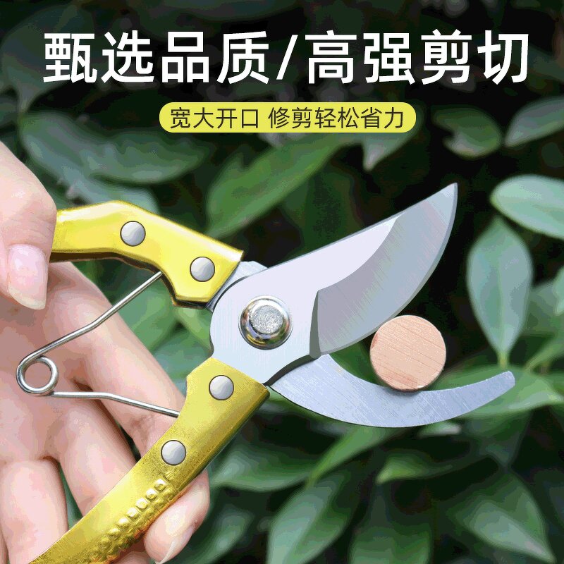 Gardening Scissors Manufacturer - OEM Customizable LOGO Wholesale SK5