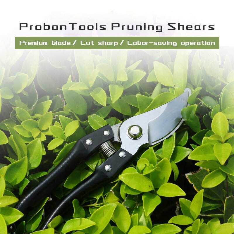 Pruning Shear Factory - OEM Manufacturer Supply SK5 Blade Red Handle