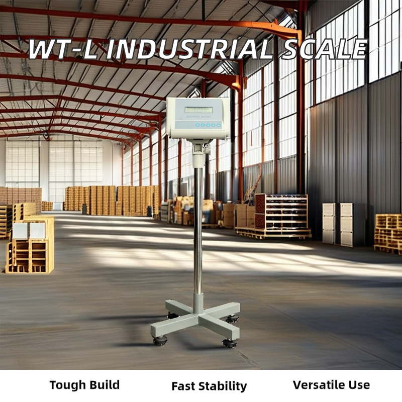 Floor Scale Supplier - OEM WT-L Digital 60-300kg Industrial LCD