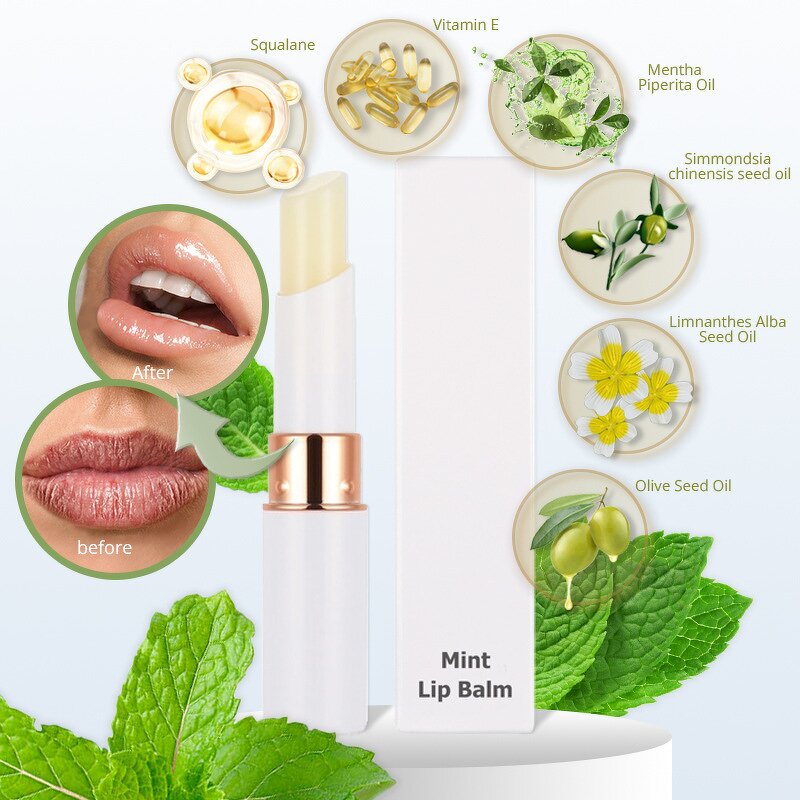 Lip Care Balm Supplier - OEM Private Label Vegan Natural Conditioning