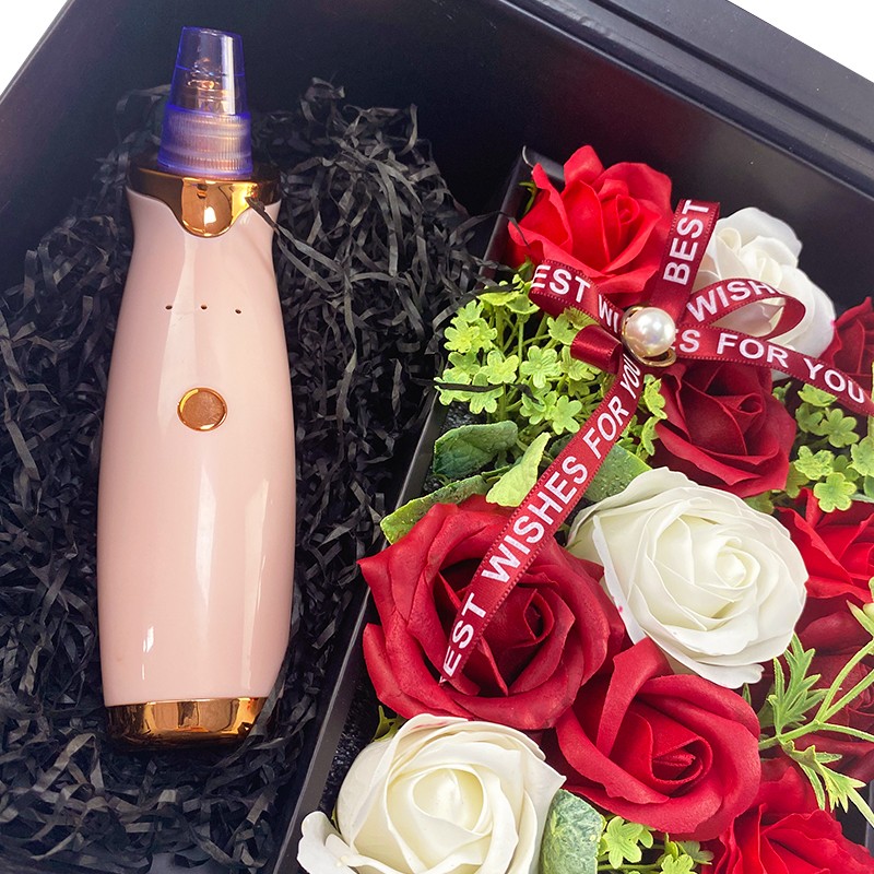 Beauty Massager Tool Factory - OEM Birthday Gift Beauty Device Products Christmas Gift