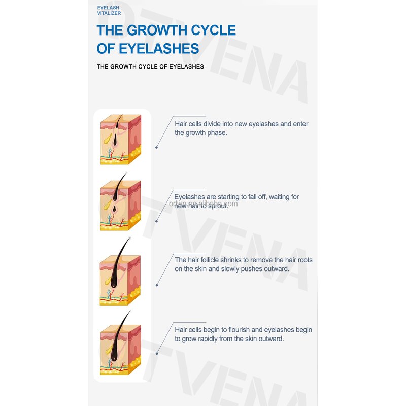 Eyelash Serum Manufacturer - Custom Organic Eyebrow & Lash Growth Serum