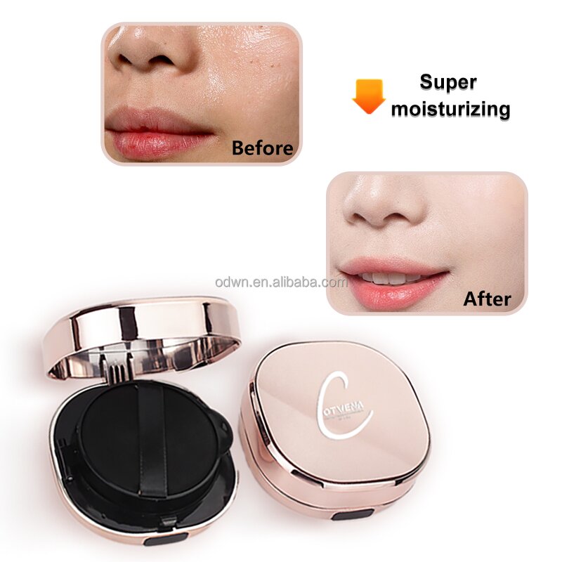 CC Cream Foundation Manufacturer - OEM Air Cushion Concealer Makeup