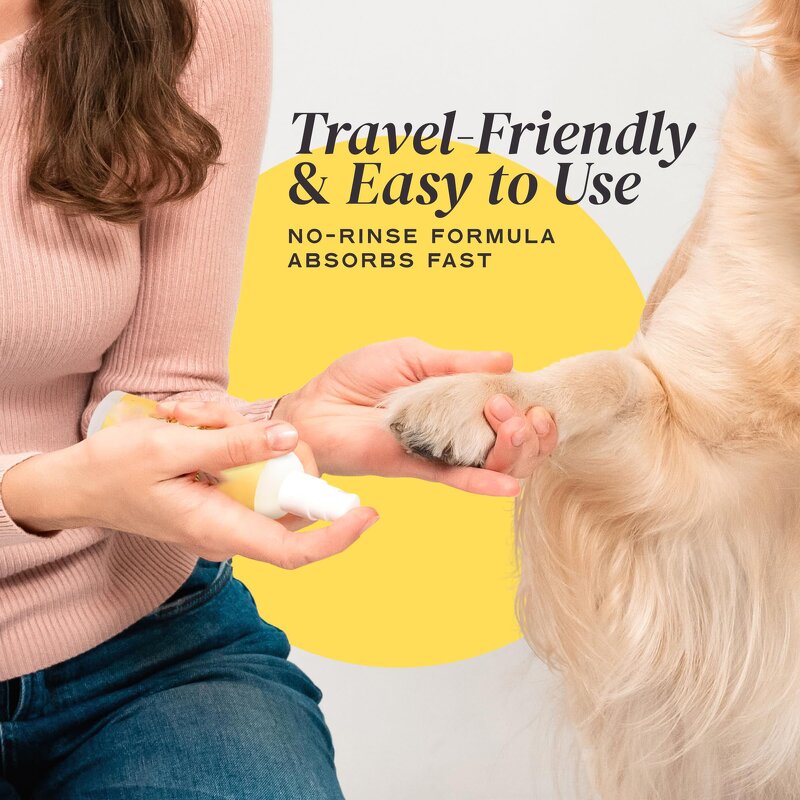 Pet Sunscreen Spray Manufacturer - OEM Custom Factory OEM ODM Private