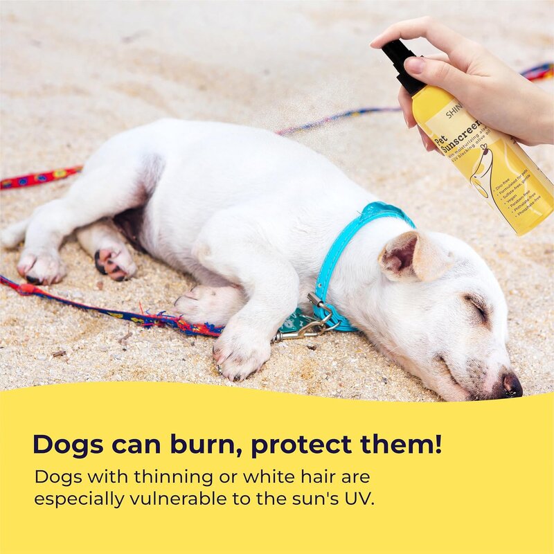 Puppy Sunblock Spray Supplier - OEM Custom Logo Natural Puppy Sunblock