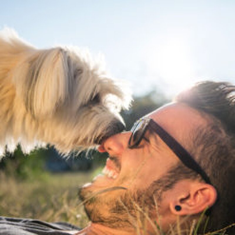 Waterless Dog Shampoo Factory - OEM Wholesale Bulk Natural Pet Shampoo