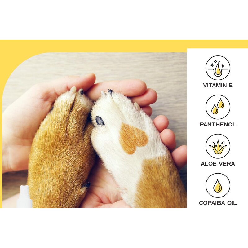 Pet Sunscreen Spray Manufacturer - OEM Custom Factory OEM ODM Private