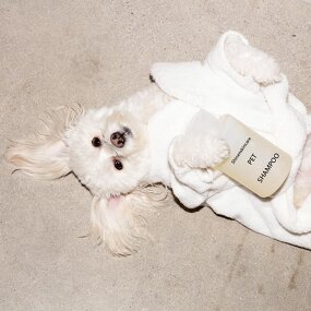 Pet Shampoo Set Supplier - OEM OEM ODM Deeply Cleaning Dogs