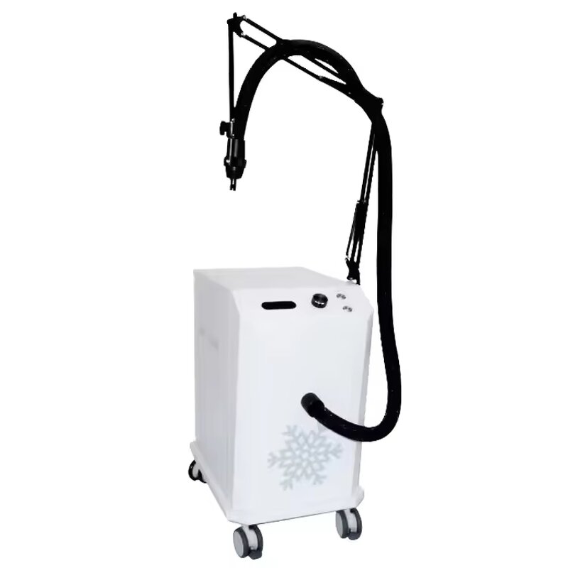 Skin Cooling System Factory - 2025 Professional Nd YAG Laser Tattoo Removal