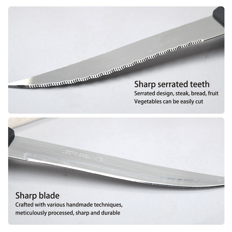 Steak Knife Set Manufacturer - OEM Matt Polishing POM