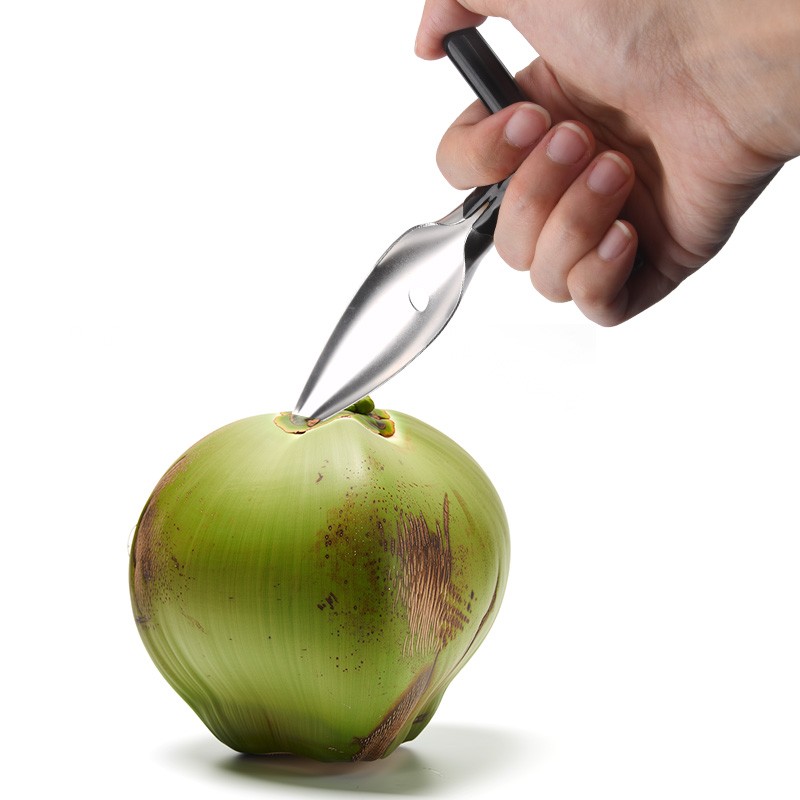 Coconut Tool Factory - OEM Portable Opener Spatula