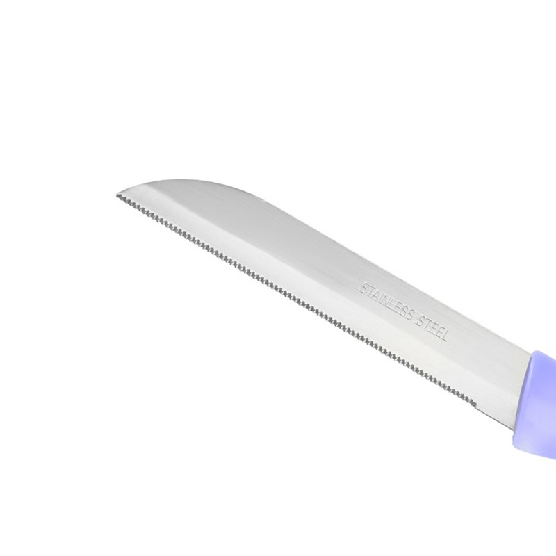 Kitchen Knife Set Manufacturer - OEM 12-Piece Stainless