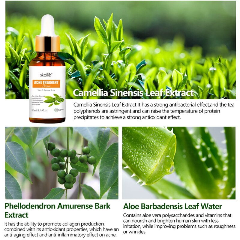 Tea Tree Acne Serum Factory - OEM Skailie Acne Skin Serum Penetrates