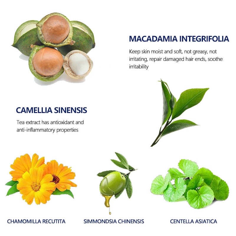 Beard Shampoo and Wash Supplier - OEM MLB Ready to Ship Private