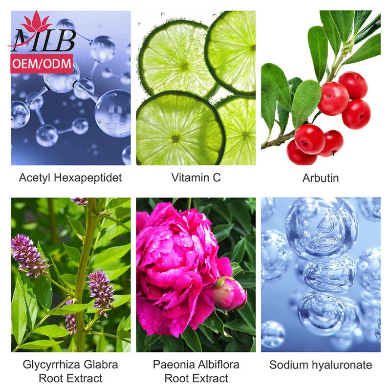 Anti-Wrinkle Cream Factory - OEM MLB High Quality Day Face Skin