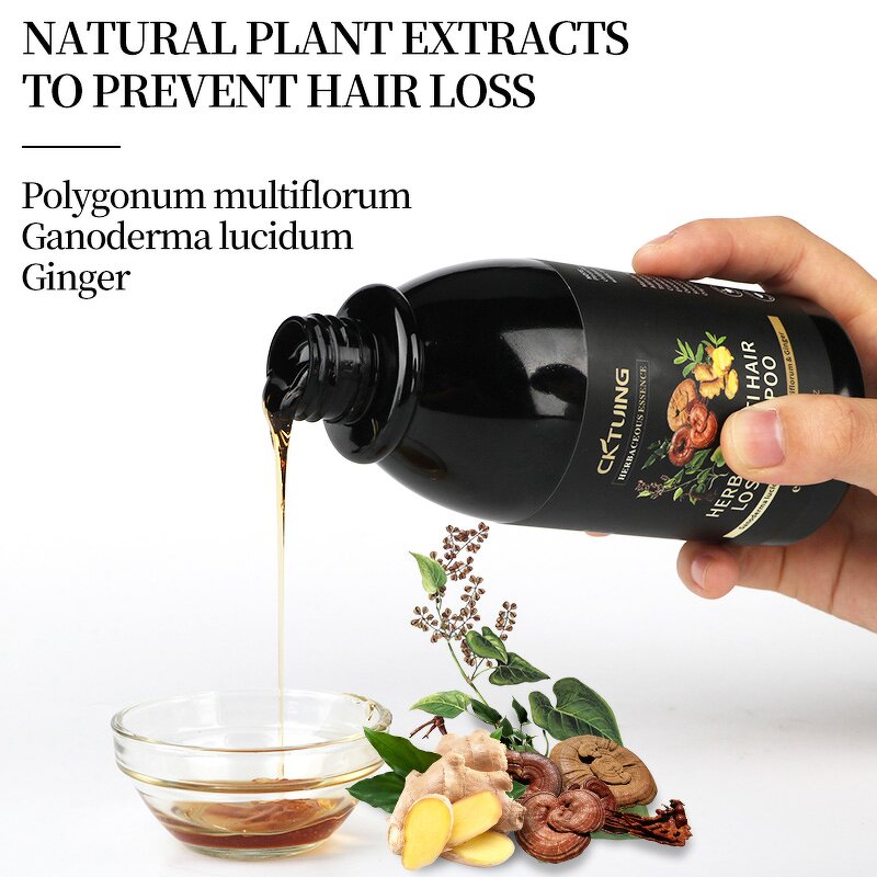 Ginger Shampoo Factory - OEM Wholesale Herbal Hair Care Regrowth