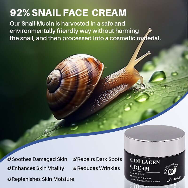 Snail Mucin Cream Factory - OEM Skin Care Products Lifting Remove
