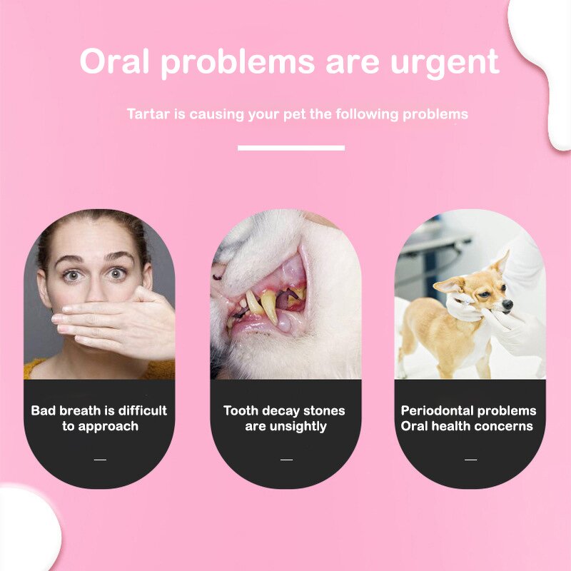 Pet Paw Cleaner Supplier - Wholesale Private Label No-Rinse Foaming Dry Shampoo