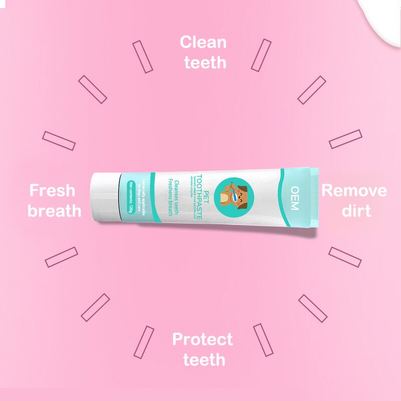 Pet Paw Cleaner Supplier - Wholesale Private Label No-Rinse Foaming Dry Shampoo