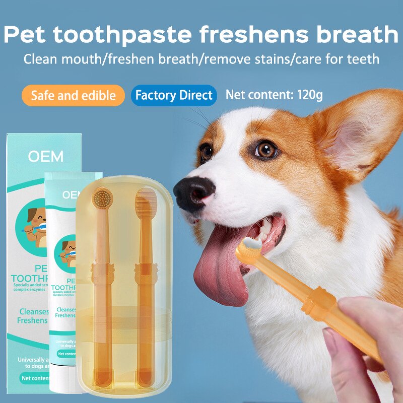 Pet Paw Cleaner Supplier - Wholesale Private Label No-Rinse Foaming Dry Shampoo