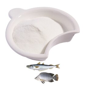 Marine Collagen Powder Manufacturer - Hydrolyzed Kosher with Vitamin C