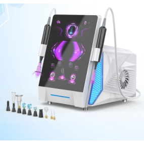 Plasma Equipment Manufacturer - NEW Professional 2 Handles Skin