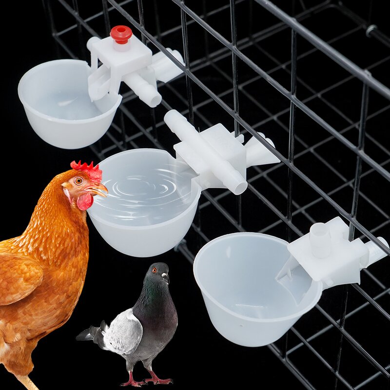 Bird Water Bowl Manufacturer - OEM Automatic Chick Poultry Drinker for Quail Pigeon