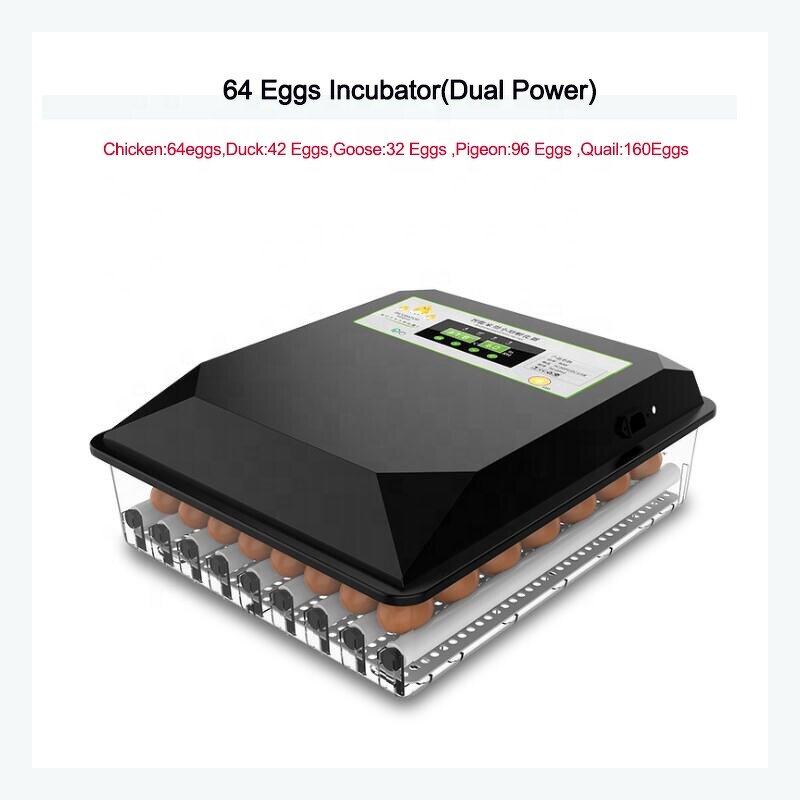 Egg Incubator Manufacturer - OEM Mini Dual Power 64 Eggs for Poultry Brooder