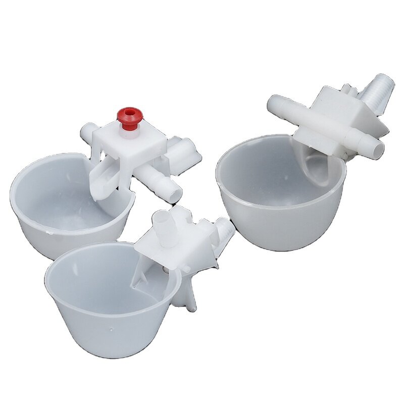Bird Water Bowl Manufacturer - OEM Automatic Chick Poultry Drinker for Quail Pigeon