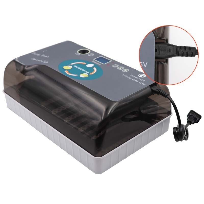 Egg Incubator Manufacturer - OEM Automatic Digital 12 Eggs for Chicken Duck Quail