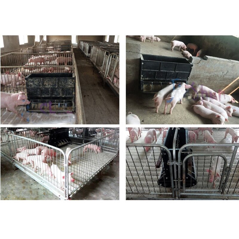 Pig Feed Trough Manufacturer - OEM Double Side 12 Holes Black Plastic Dry Wet Feeder