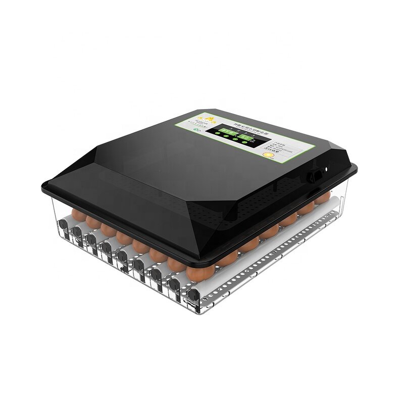 Egg Incubator Manufacturer - OEM Mini Dual Power 64 Eggs for Poultry Brooder