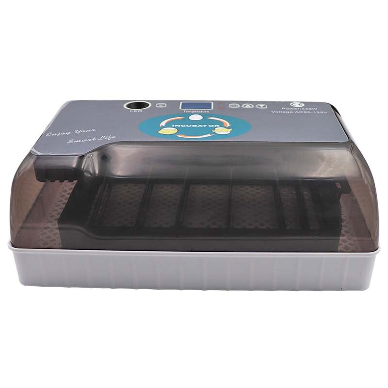 Egg Incubator Manufacturer - OEM Automatic Digital 12 Eggs for Chicken Duck Quail