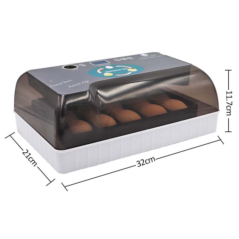 Egg Incubator Manufacturer - OEM Automatic Digital 12 Eggs for Chicken Duck Quail