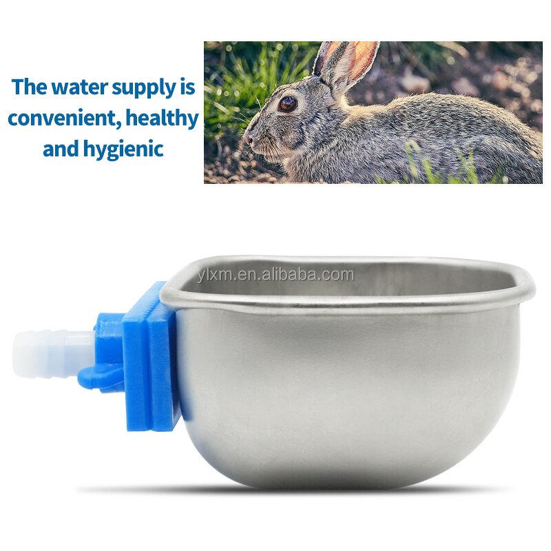 Rabbit Water Cup Manufacturer - OEM Anti Scratch Stainless Steel Nipple Drinking Bowl