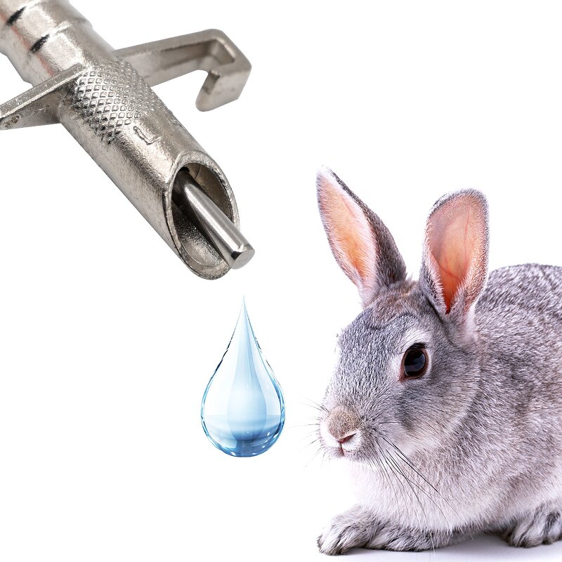 Rabbit Nipple Drinker Manufacturer - OEM Galvanized Caged for Mouse Rodent Bunny Poultry