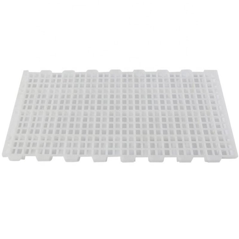 Poultry Slat Floor Manufacturer - OEM High Strength Plastic Broiler Farm Net Flooring