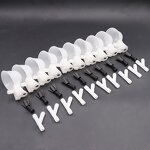 Bee Quail Pigeon bird etc