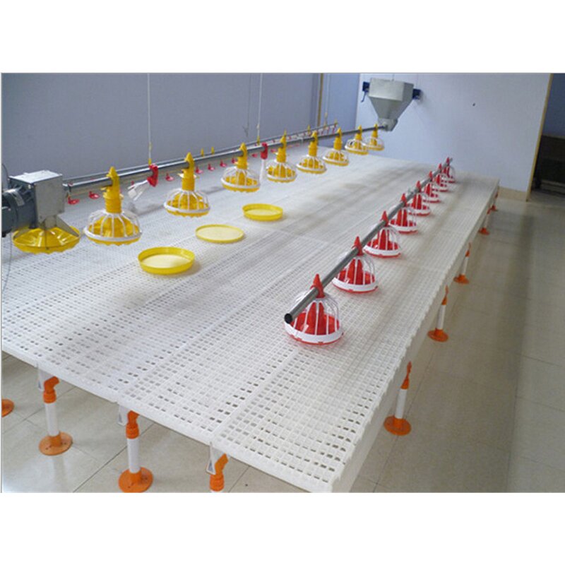 Poultry Slat Floor Manufacturer - OEM High Strength Plastic Broiler Farm Net Flooring