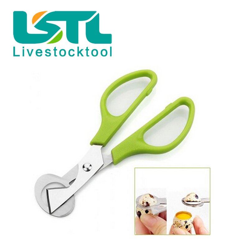 Egg Cutter Manufacturer - OEM Stainless Steel Kitchen for Pigeon Quail Shell Opener