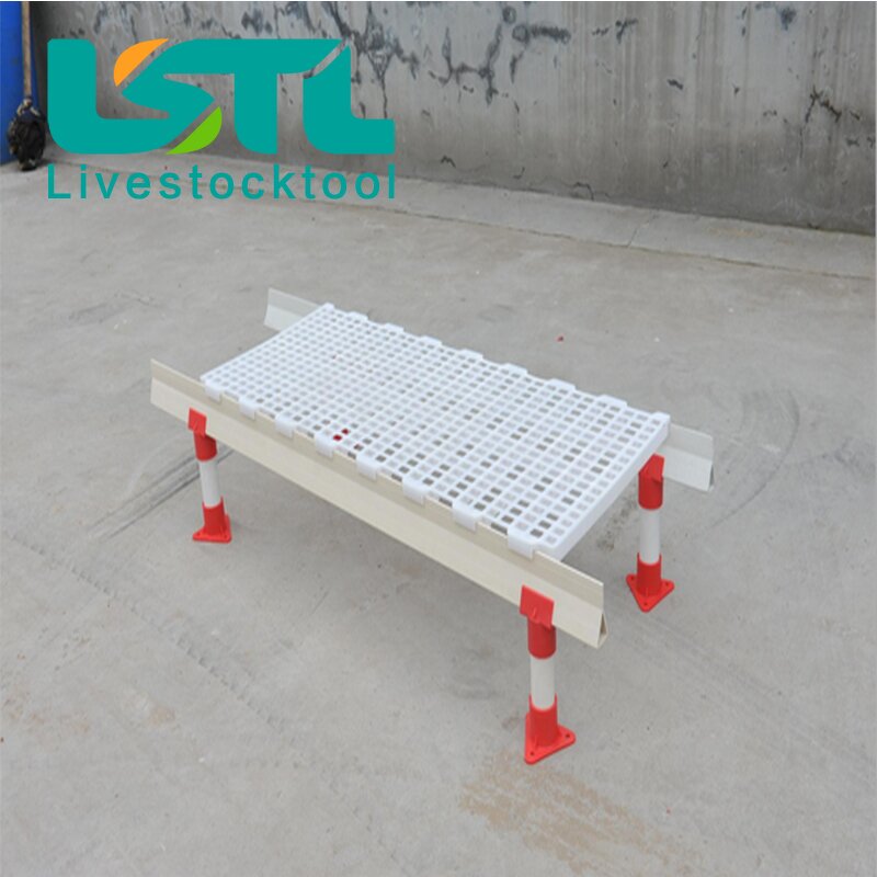 Plastic Slat Flooring Manufacturer - Wholesale High Strength Broiler Leakage Dung Plate