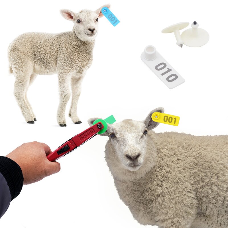 Sheep Ear Tag Manufacturer - OEM 7 Colors 001-100 Customizable Tracking Card Labels