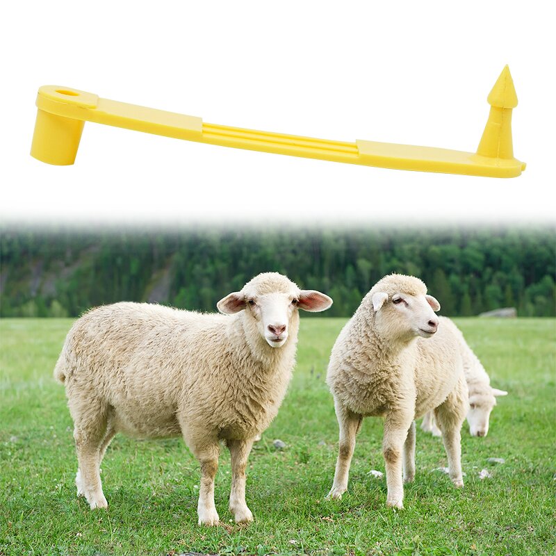 Sheep Ear Tag Manufacturer - OEM Customized One Piece Laser Printed 001-100