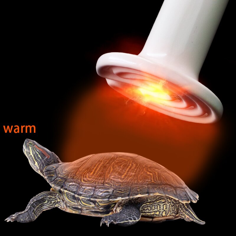 Ceramic Heat Lamp Manufacturer - OEM Far Infrared White for Reptile Chickens Pet Brooder