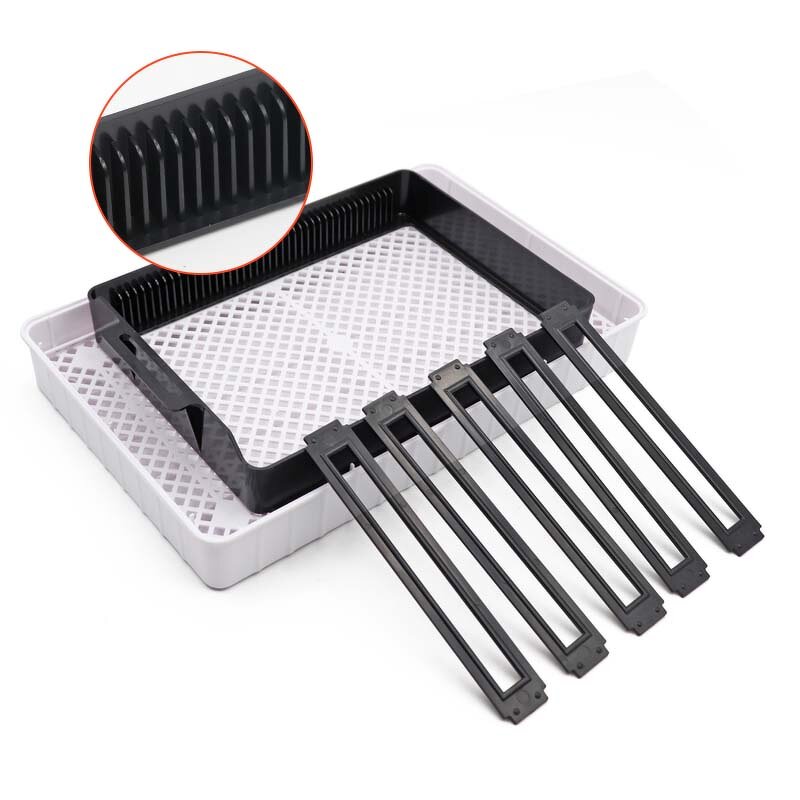 Egg Incubator Manufacturer - OEM Automatic Digital 12 Eggs for Chicken Duck Quail