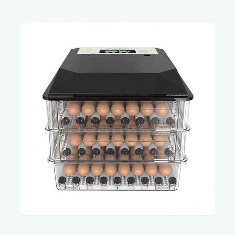 Egg Incubator Manufacturer - OEM Mini Dual Power 64 Eggs for Poultry Brooder